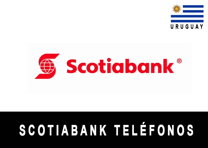 Teléfono de Scotiabank